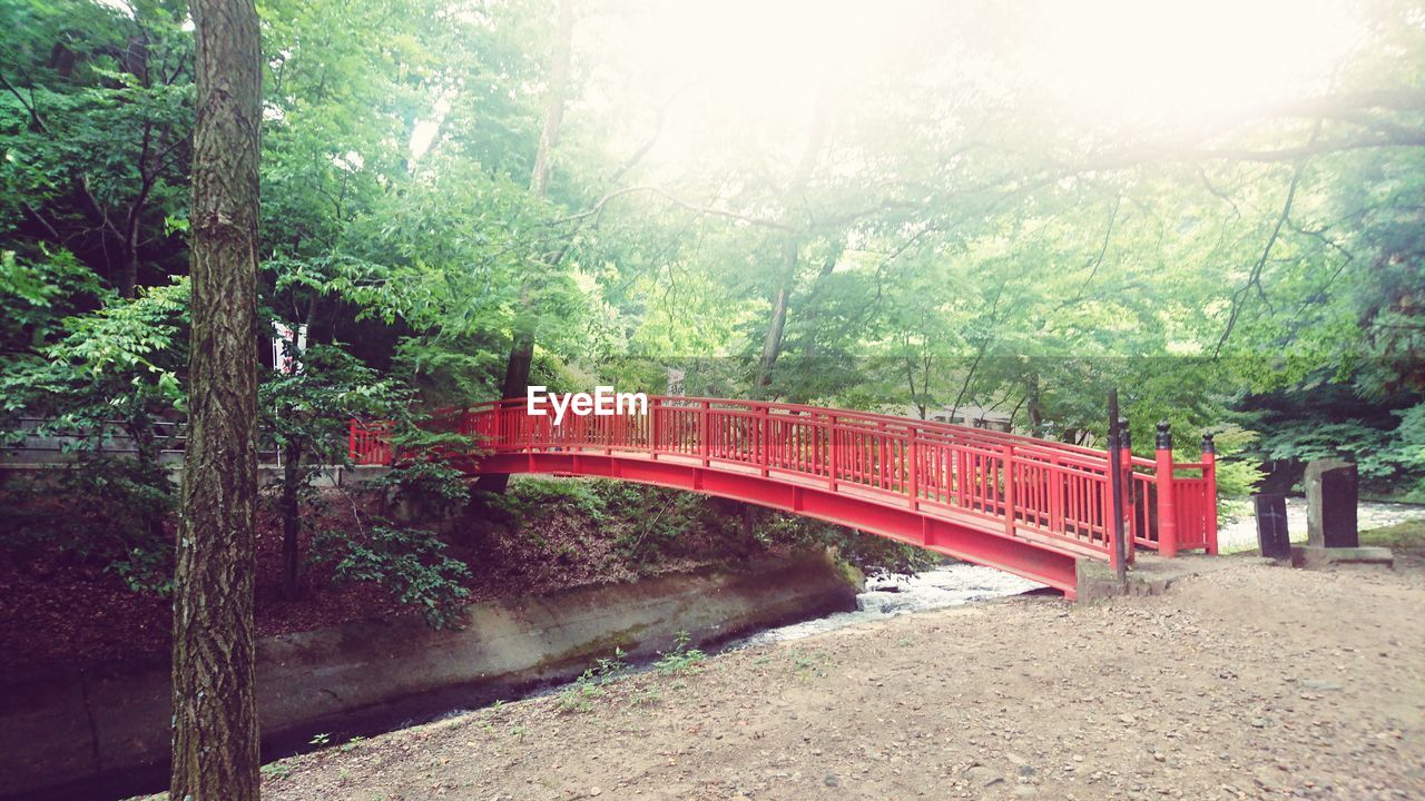 FOOTBRIDGE OVER STREAM IN FOREST