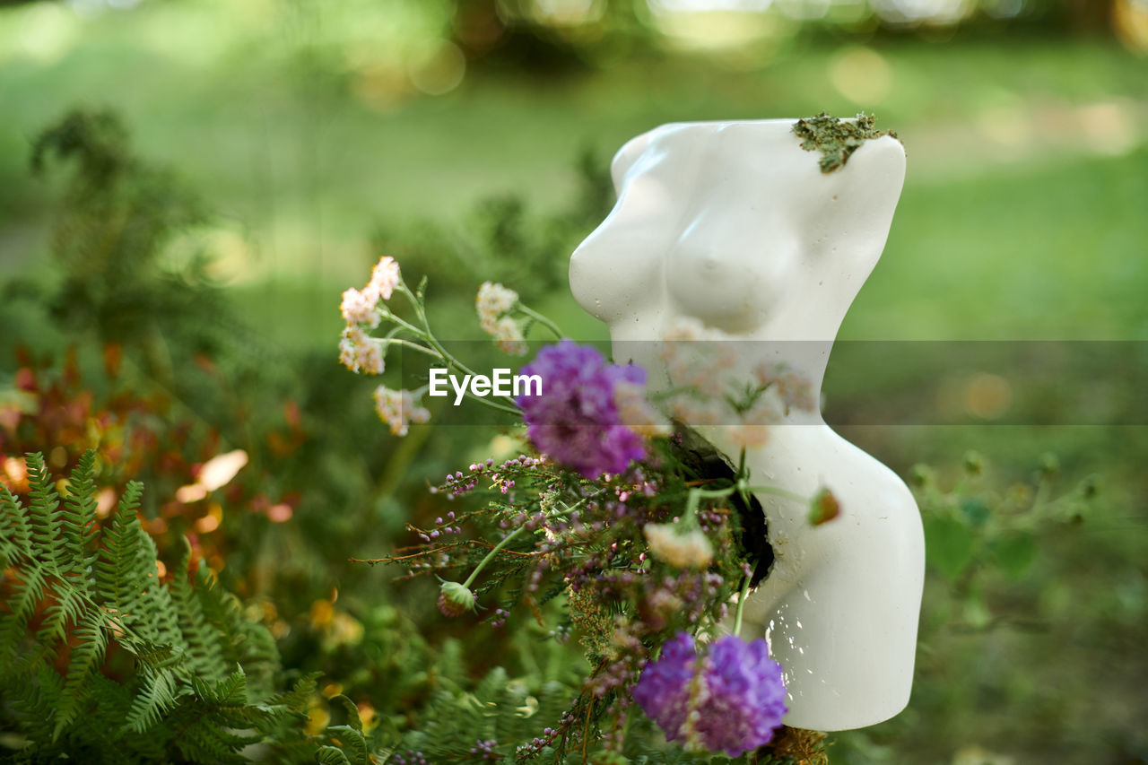 plant, flower, flowering plant, nature, green, beauty in nature, blossom, freshness, no people, macro photography, outdoors, close-up, purple, fragility, leaf, day, focus on foreground, decoration, selective focus, flower head, garden, springtime, floristry, growth, grass, white, celebration