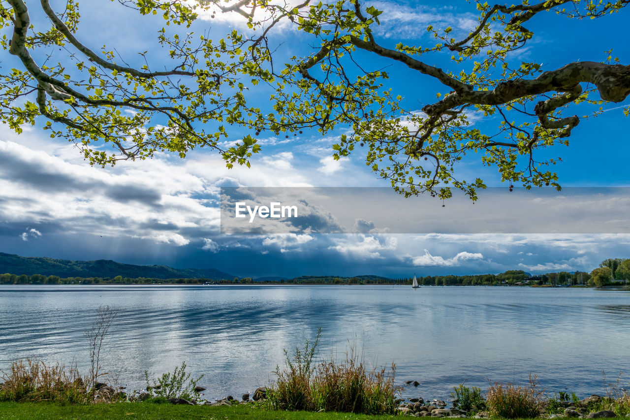 Spring time lake constance sunny sky