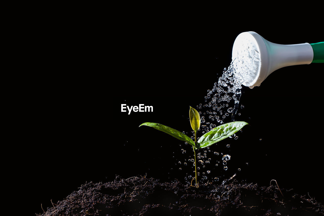 Close-up of garden equipment watering plant over black background