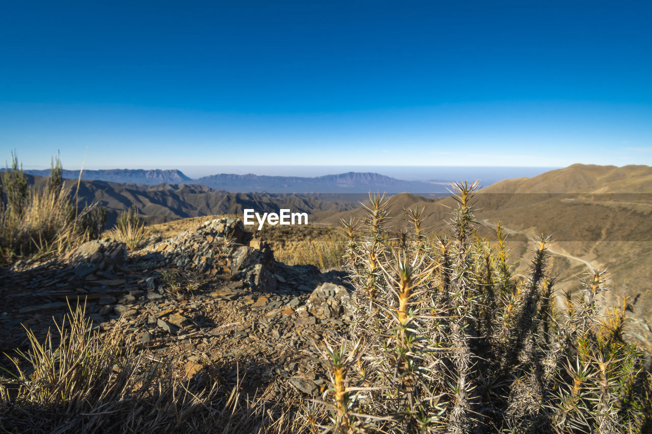 Scenic view of landscape against clear blue sky