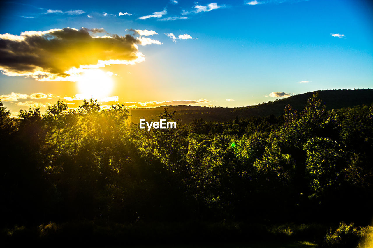 SCENIC SHOT OF CALM COUNTRYSIDE LANDSCAPE AT SUNSET