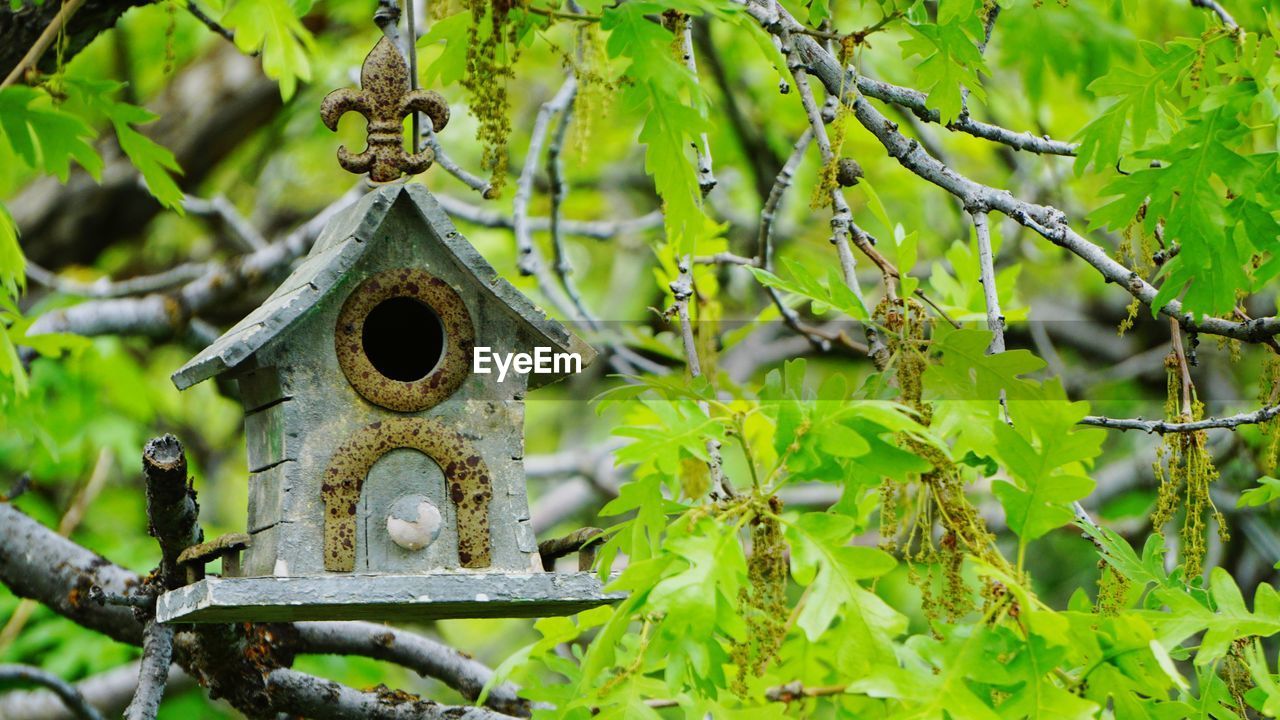 CLOSE-UP OF BIRDHOUSE