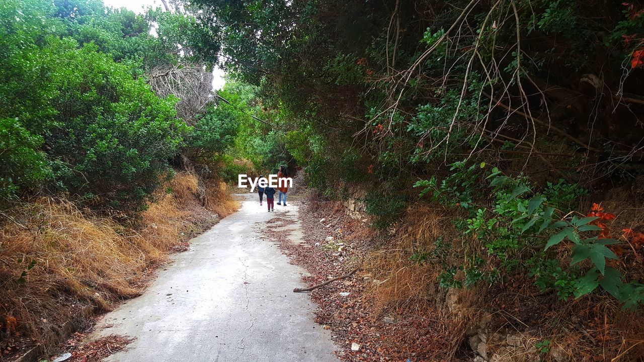 Rear view of mother walking with children on road at forest