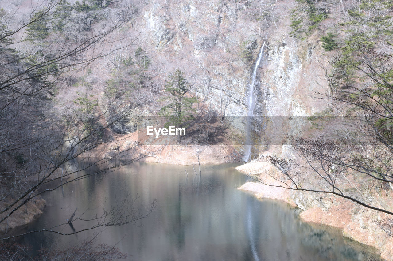 SCENIC VIEW OF WATERFALL IN FOREST