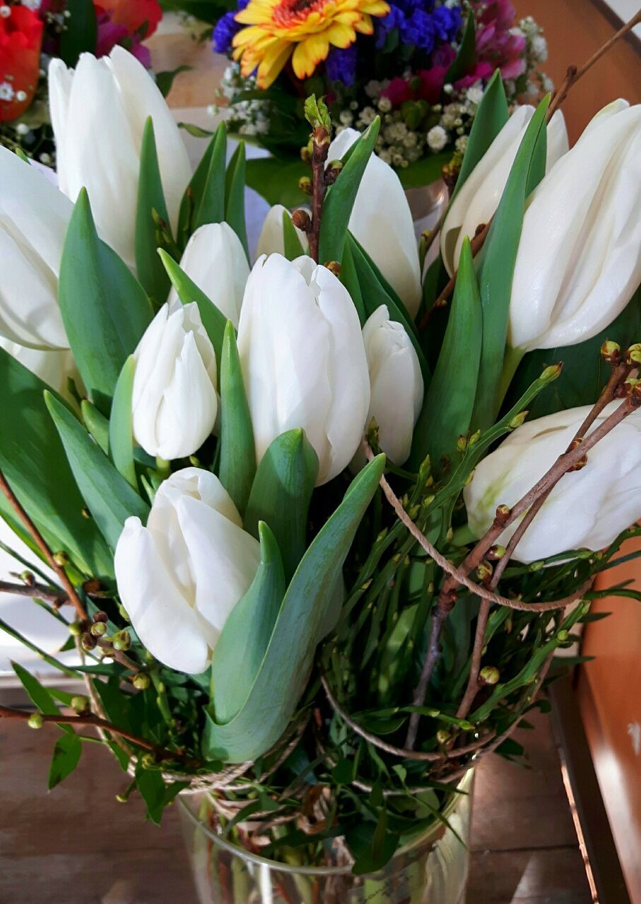 CLOSE-UP OF FLOWERS AND PLANTS