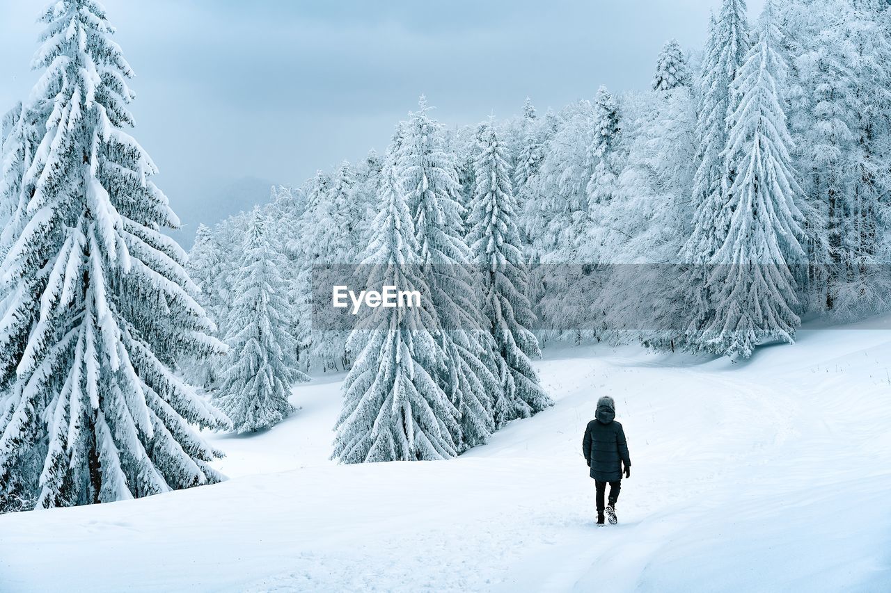 Man walking on snowy road in winter forest