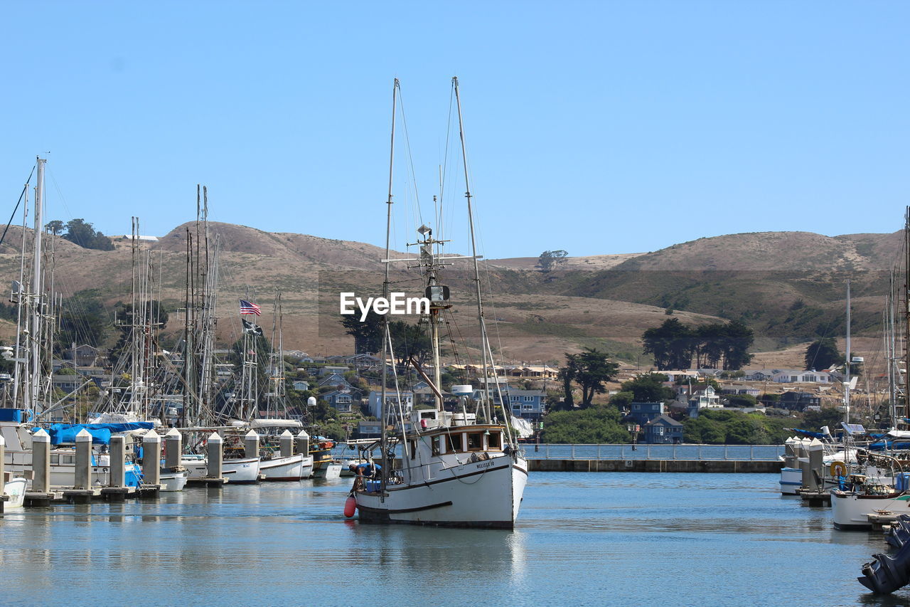 SAILBOATS MOORED AT HARBOR