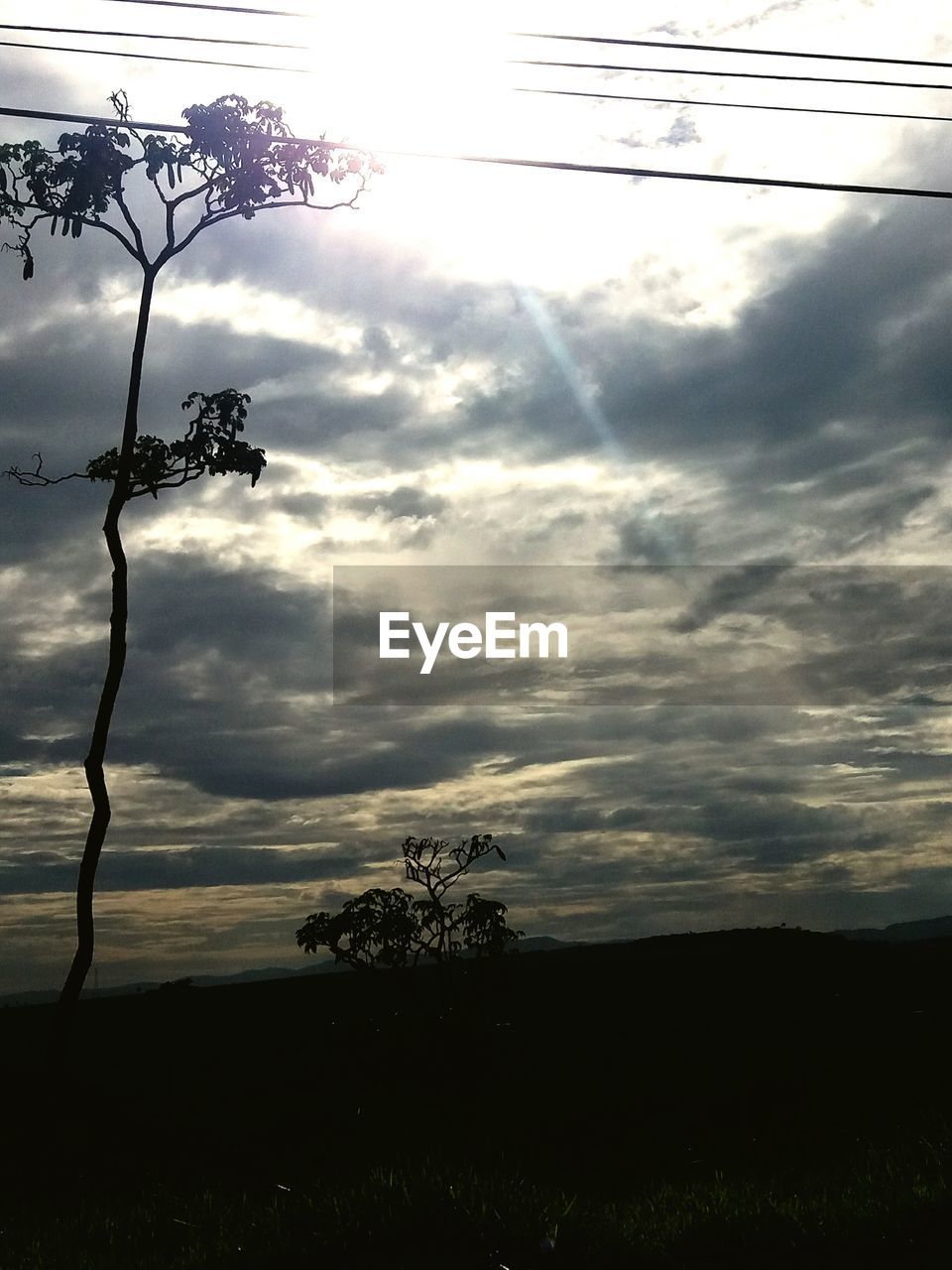 TREES ON LANDSCAPE AGAINST CLOUDY SKY