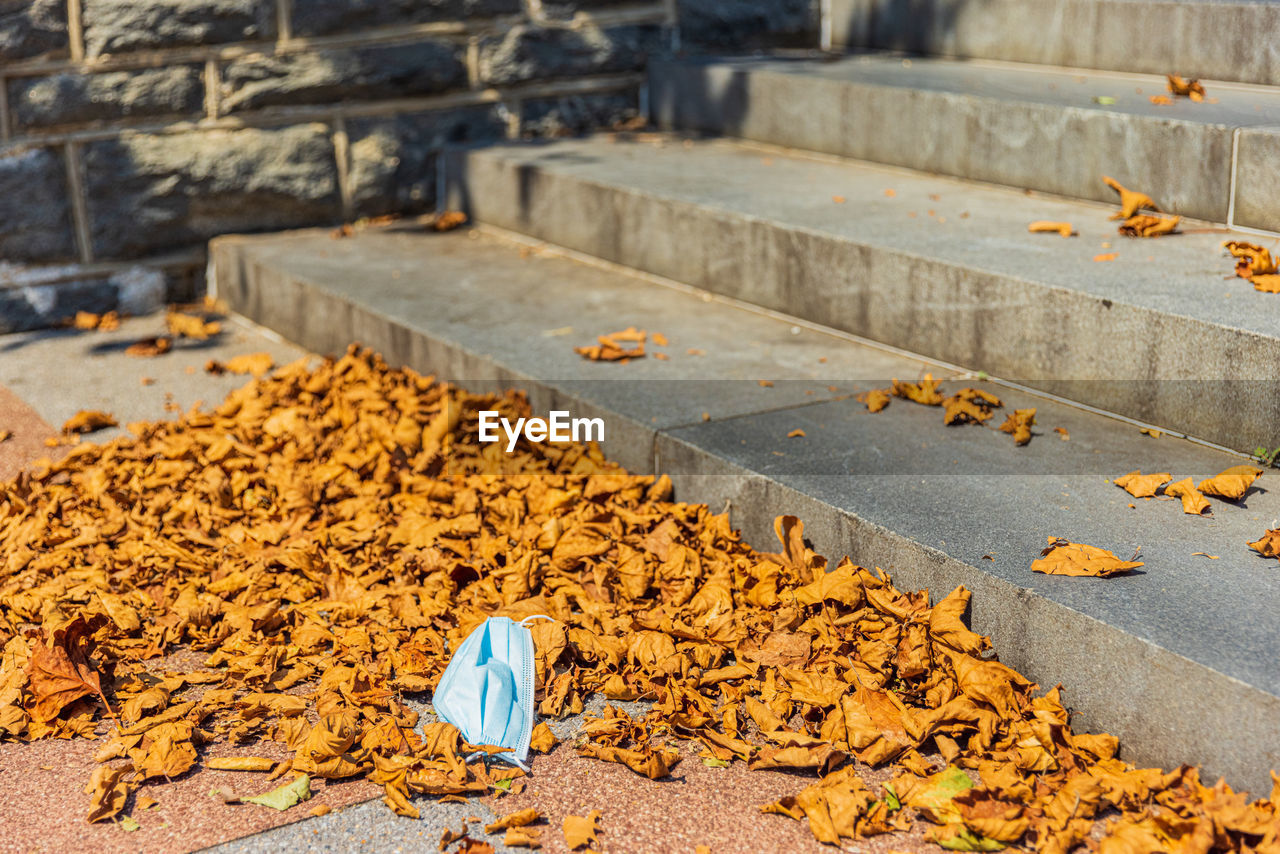 HIGH ANGLE VIEW OF DRY LEAF ON CONCRETE