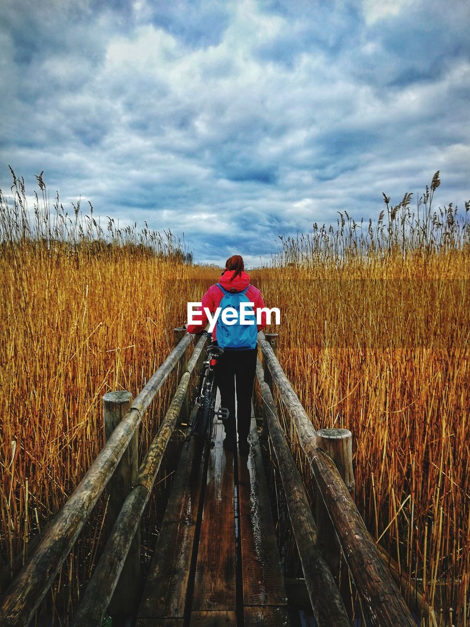 Rear view of female hiker walking with bicycle on footbridge amidst field against cloudy sky