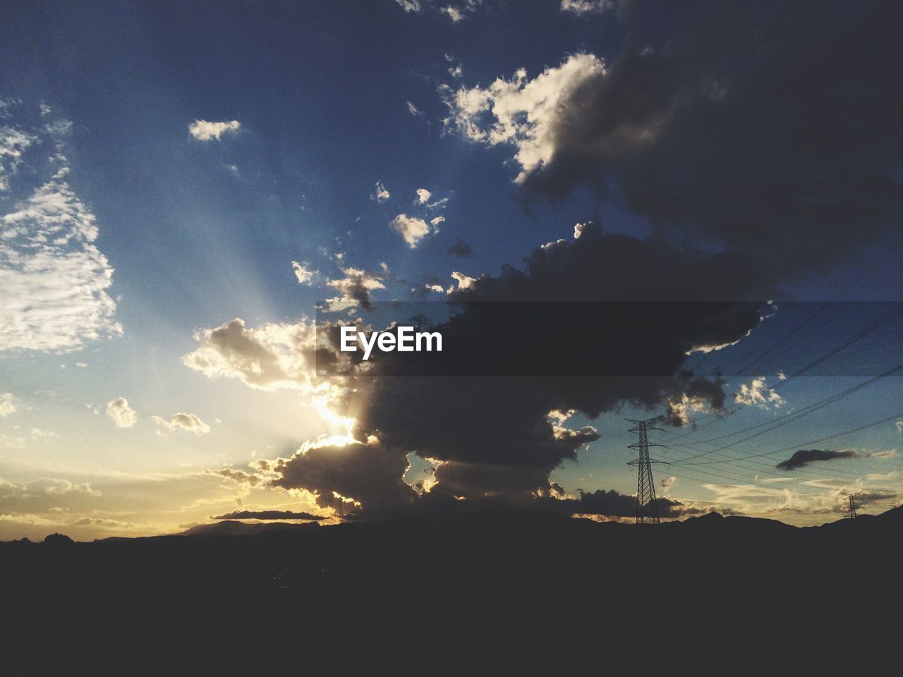 SILHOUETTE OF TREES AT SUNSET