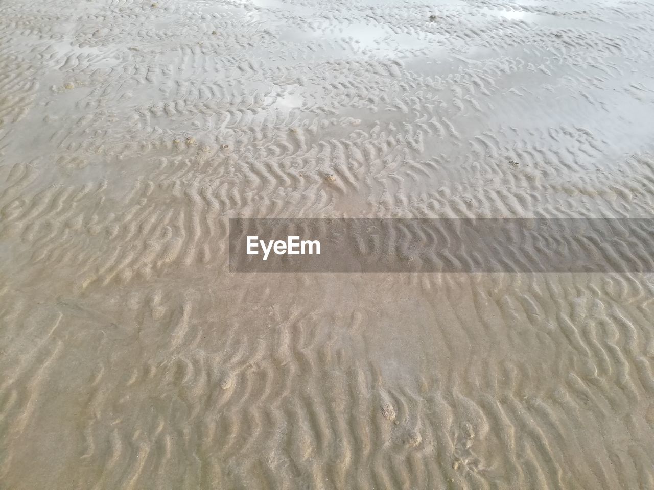 FULL FRAME SHOT OF WET SAND ON BEACH