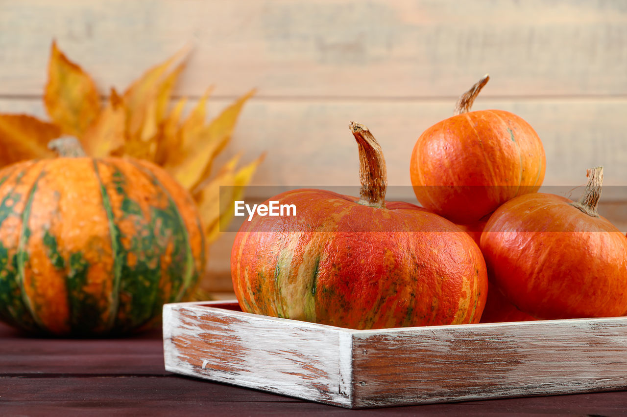 close-up of pumpkin