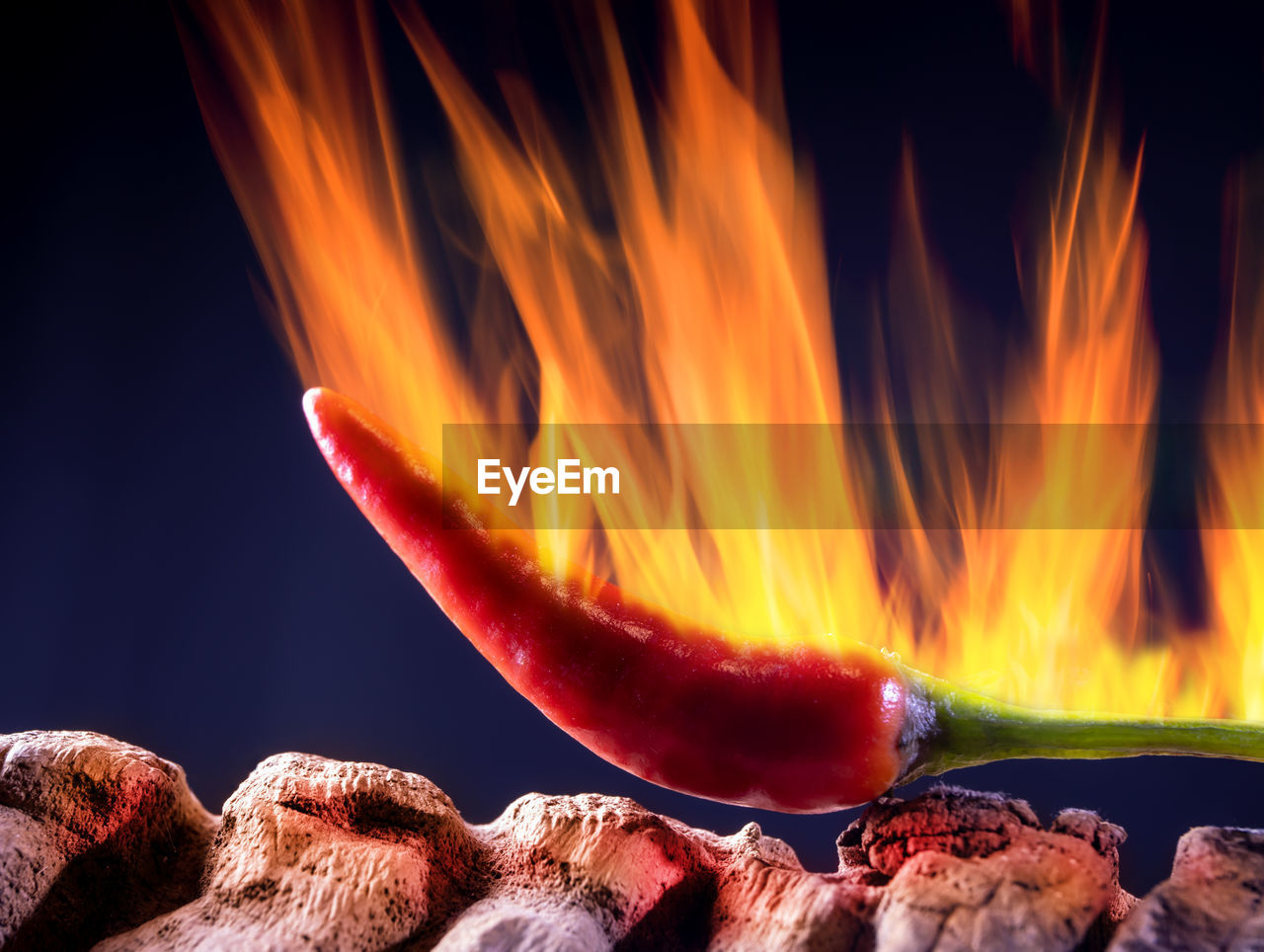 A ripe, hot fruit of a chili plant seems to burn. the background is black.