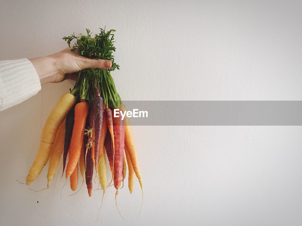 Cropped image of person holding carrots against wall