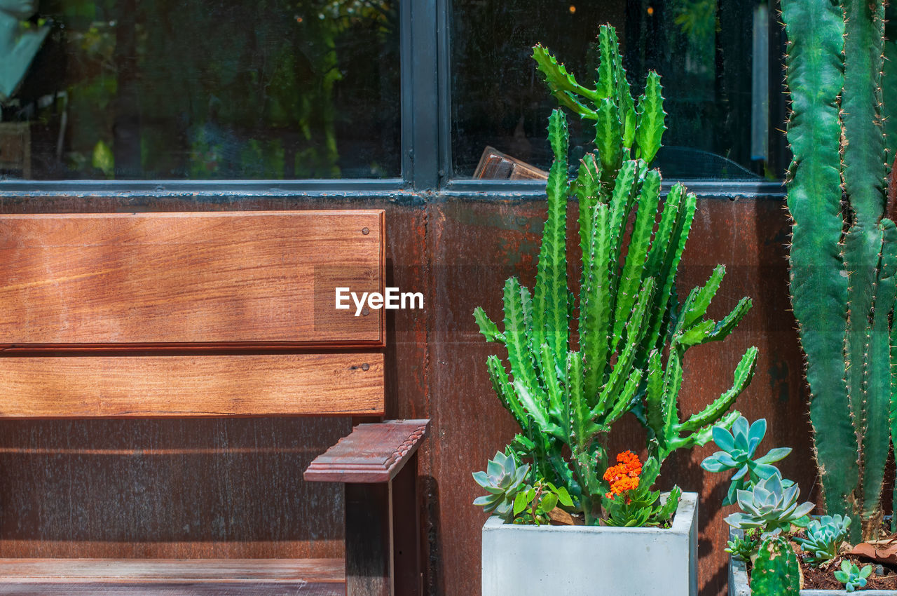 POTTED PLANTS GROWING ON WINDOW