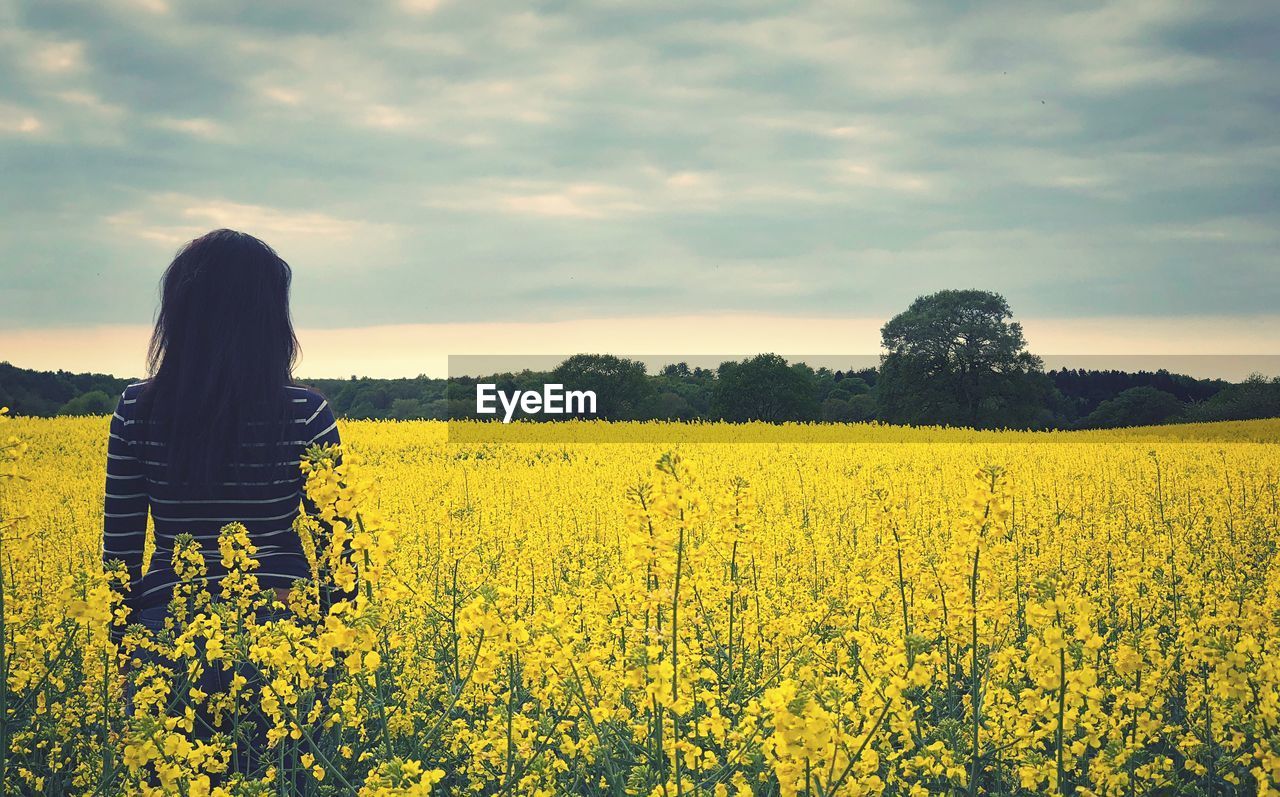 Scenic view of oilseed rape field against sky