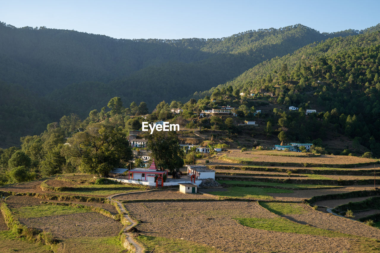 SCENIC VIEW OF AGRICULTURAL FIELD