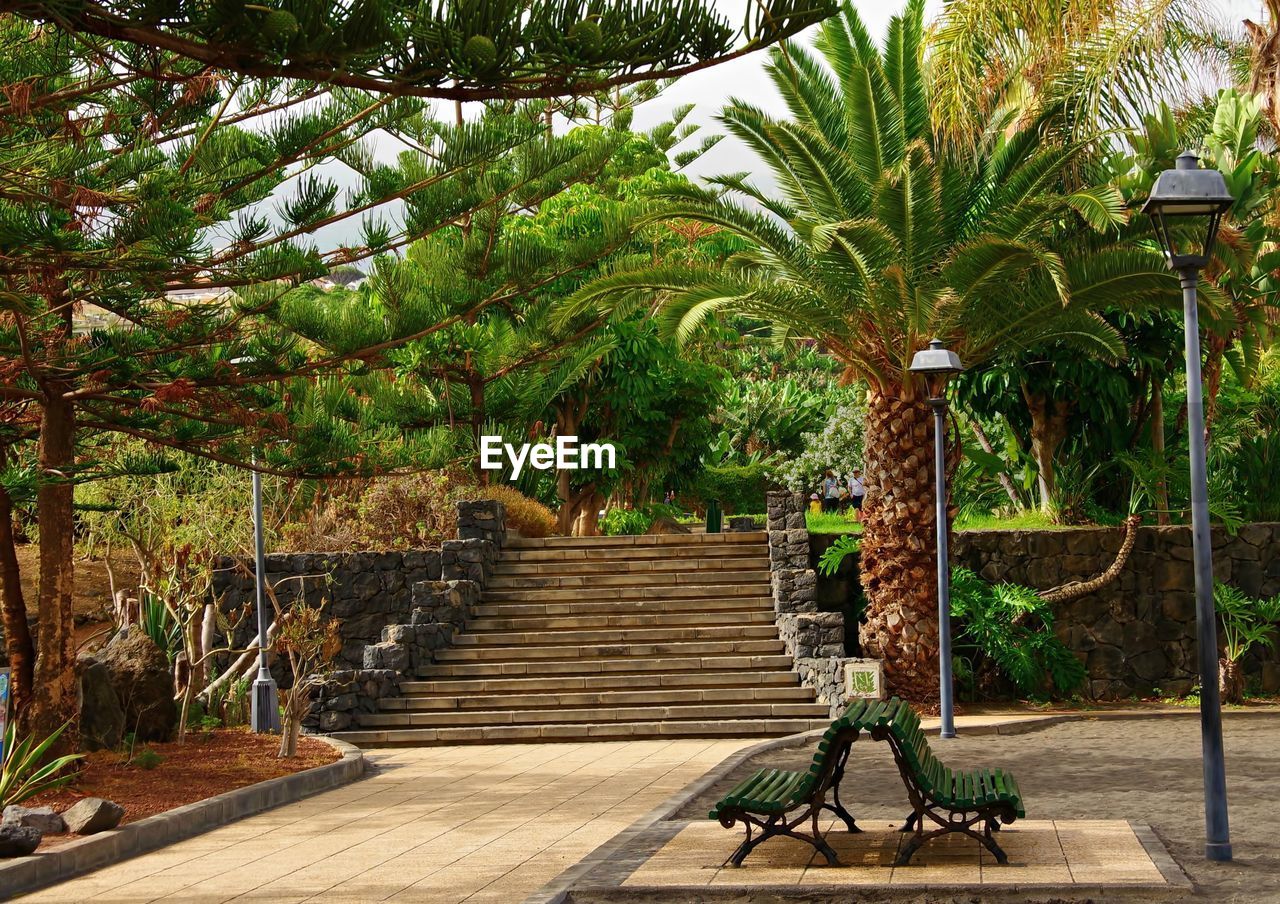 BENCH IN PARK AGAINST PALM TREES IN SUNLIGHT