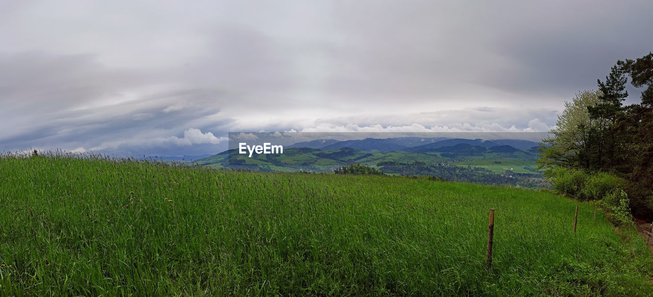 SCENIC VIEW OF LAND AGAINST SKY