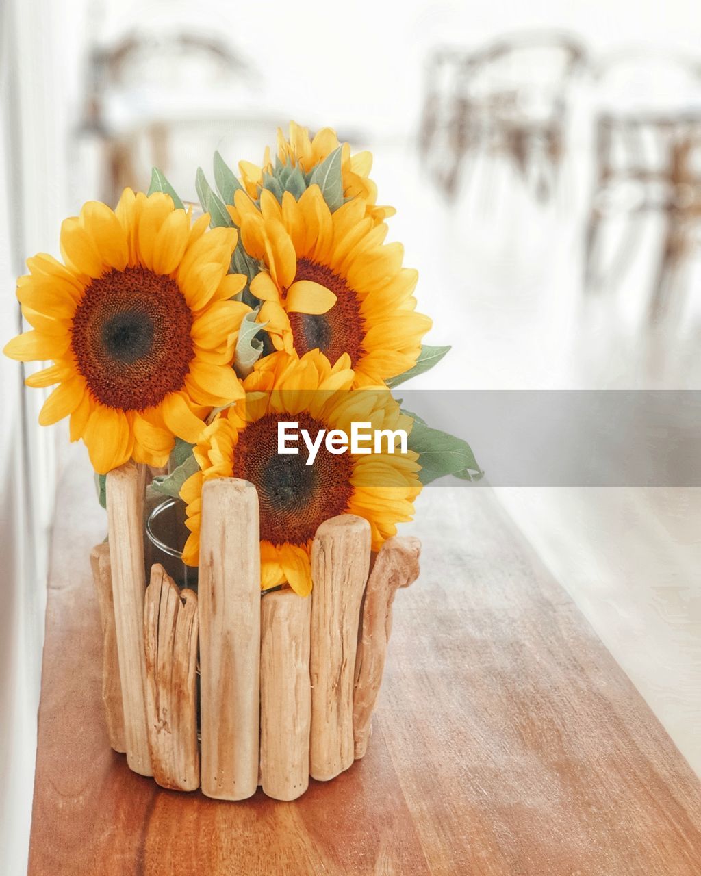 flower, flowering plant, yellow, plant, freshness, wood, sunflower, nature, flower head, beauty in nature, table, no people, bouquet, indoors, close-up, daisy, flower arrangement, inflorescence, focus on foreground, arrangement, decoration, fragility, vase, food and drink, floristry