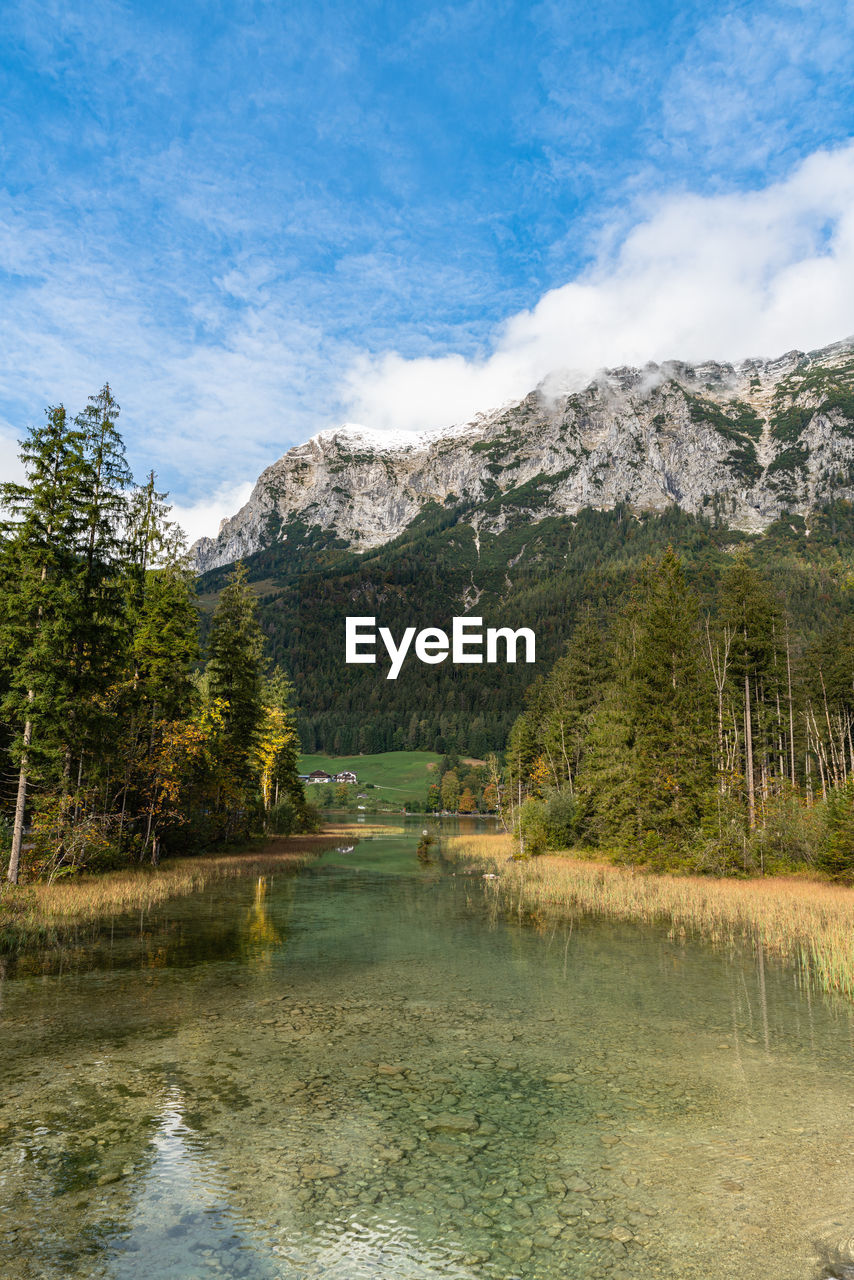 SCENIC VIEW OF LAKE AMIDST TREES AGAINST SKY