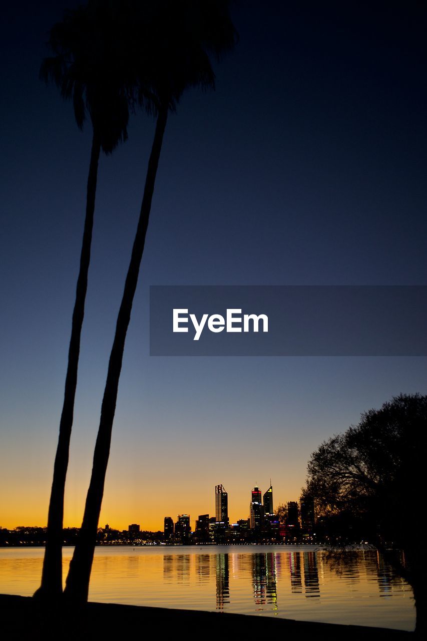 SILHOUETTE TREES AND PLANTS AGAINST SKY DURING SUNSET