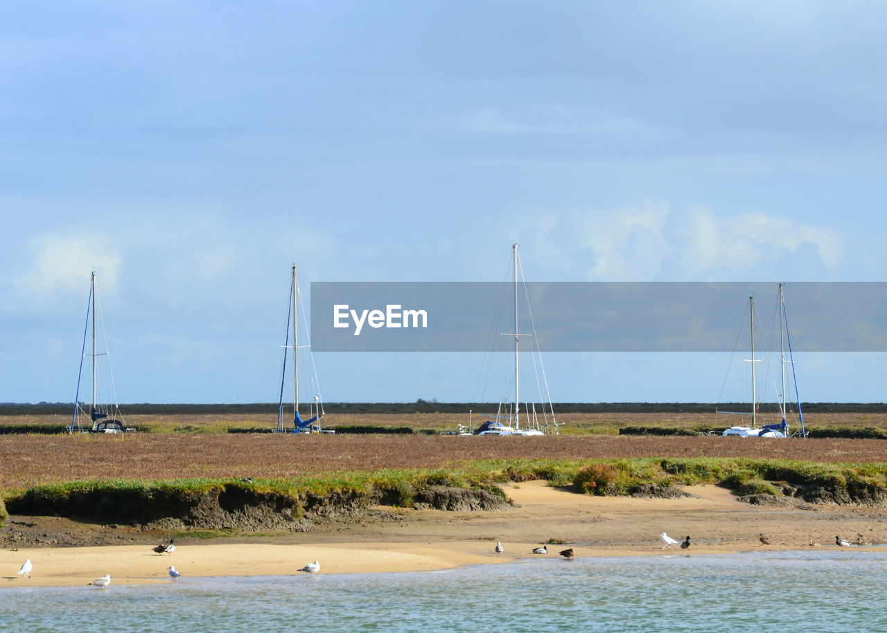 Sailboats moored by sea against sky