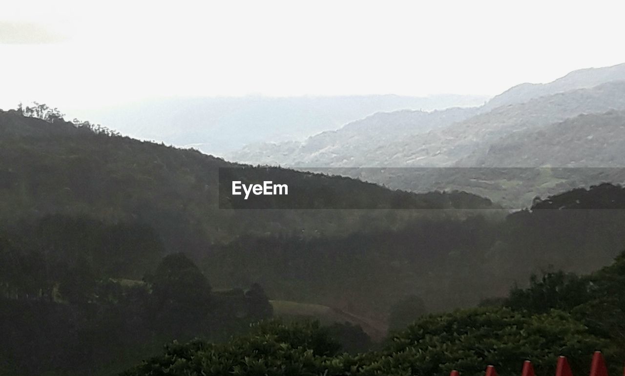 SCENIC VIEW OF TREES ON MOUNTAINS AGAINST SKY