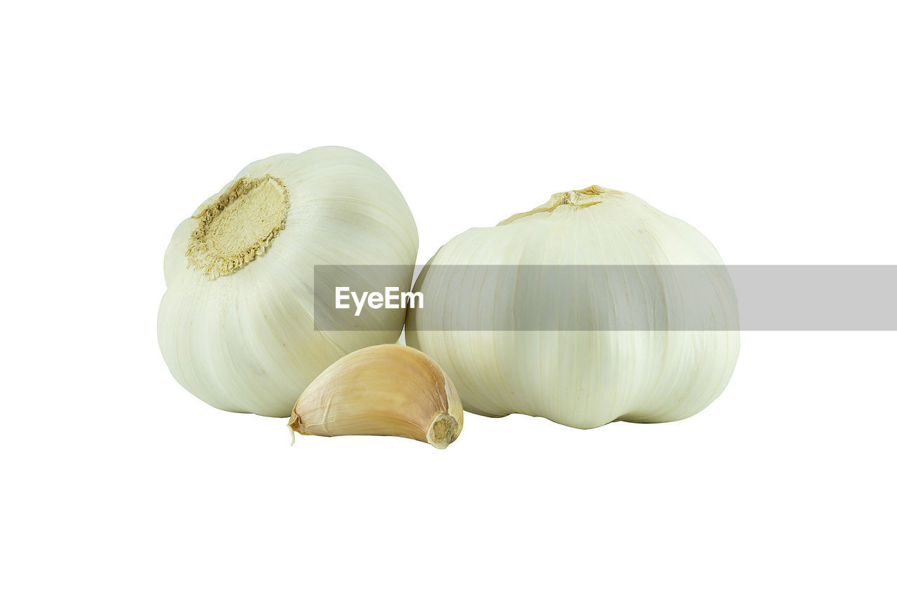 CLOSE-UP OF GARLIC ON WHITE BACKGROUND