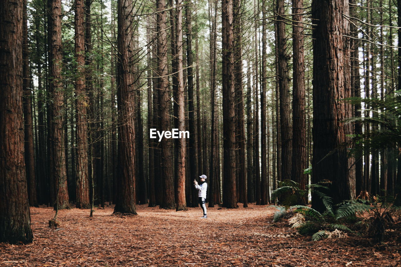 Man standing amidst trees in forest