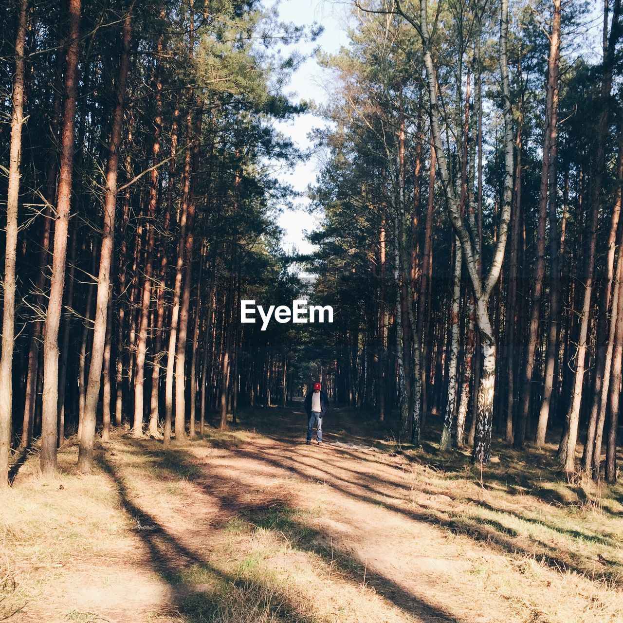 Full length of man standing on country road amidst trees