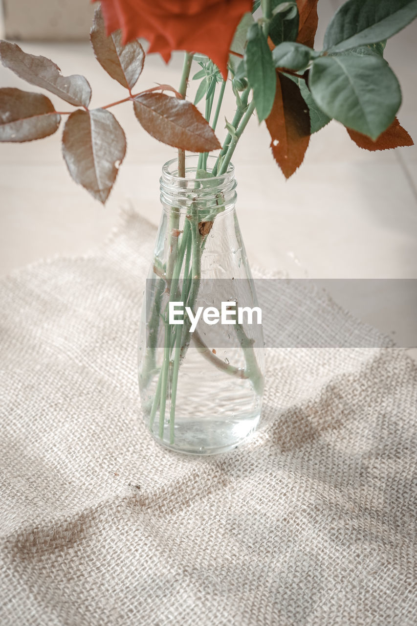 CLOSE-UP OF HAND HOLDING GLASS OF JAR