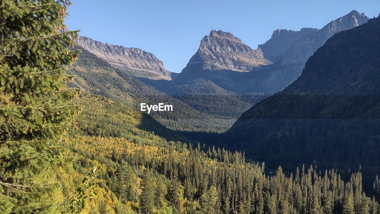 mountain, scenics - nature, wilderness, environment, landscape, plant, tree, pine tree, mountain range, coniferous tree, land, pinaceae, beauty in nature, nature, pine woodland, sky, forest, travel destinations, travel, ridge, no people, mountain peak, valley, outdoors, tranquility, tourism, non-urban scene, tranquil scene, activity, rock, leisure activity, blue, clear sky, woodland, day, adventure, snow, plateau, walking, national park, summer, green, environmental conservation, idyllic, sunny, autumn, panoramic