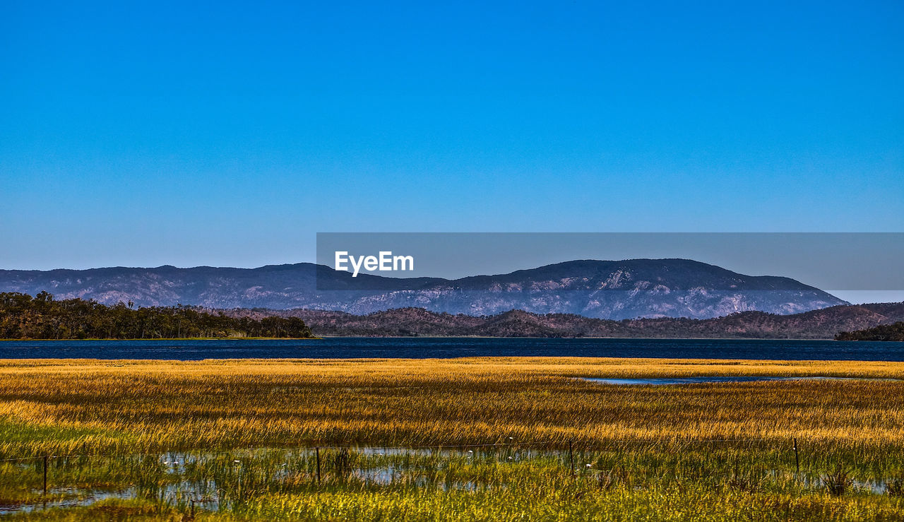 Scenic view of field against clear blue sky