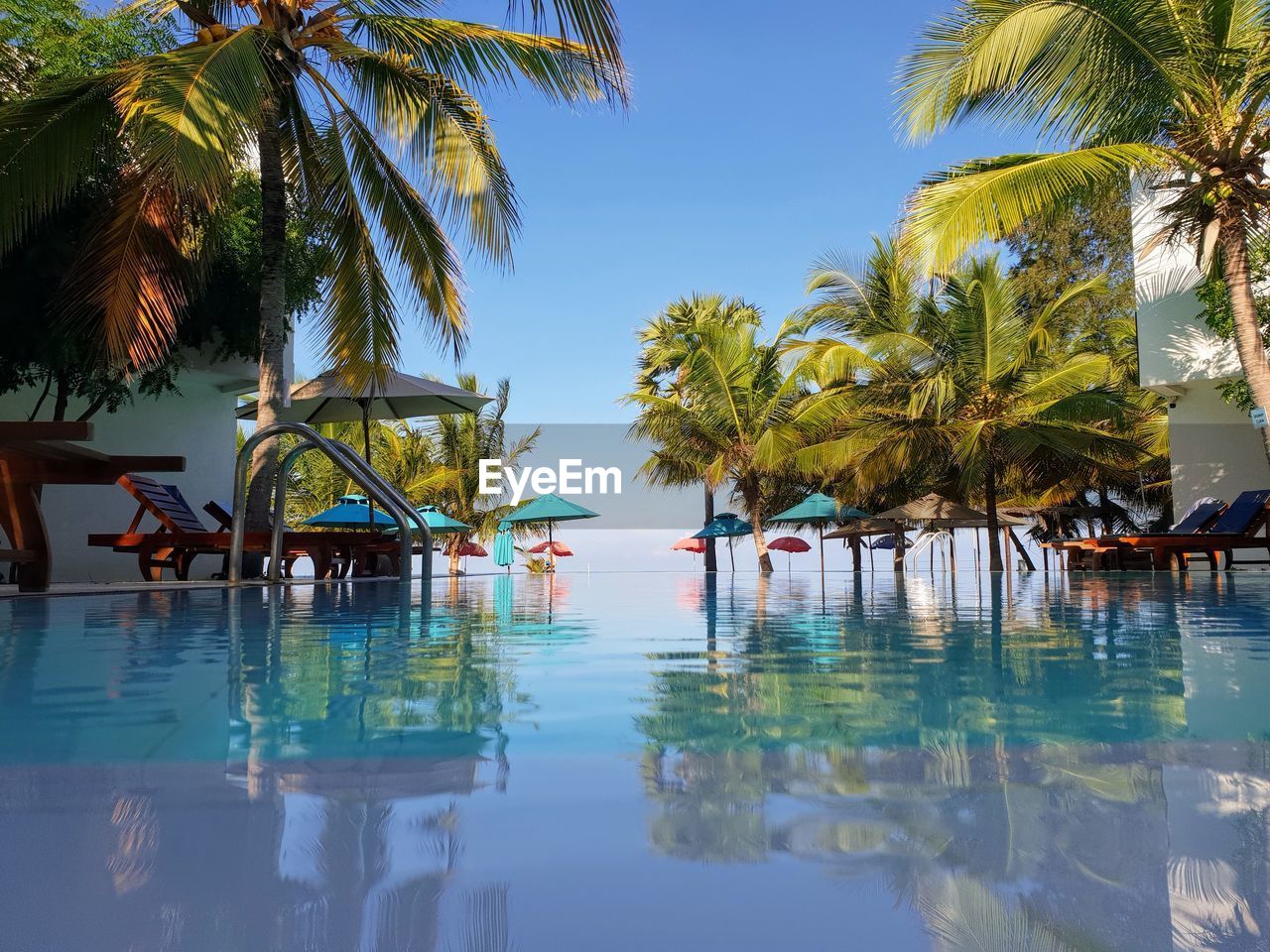 PALM TREES BY SWIMMING POOL IN SEA