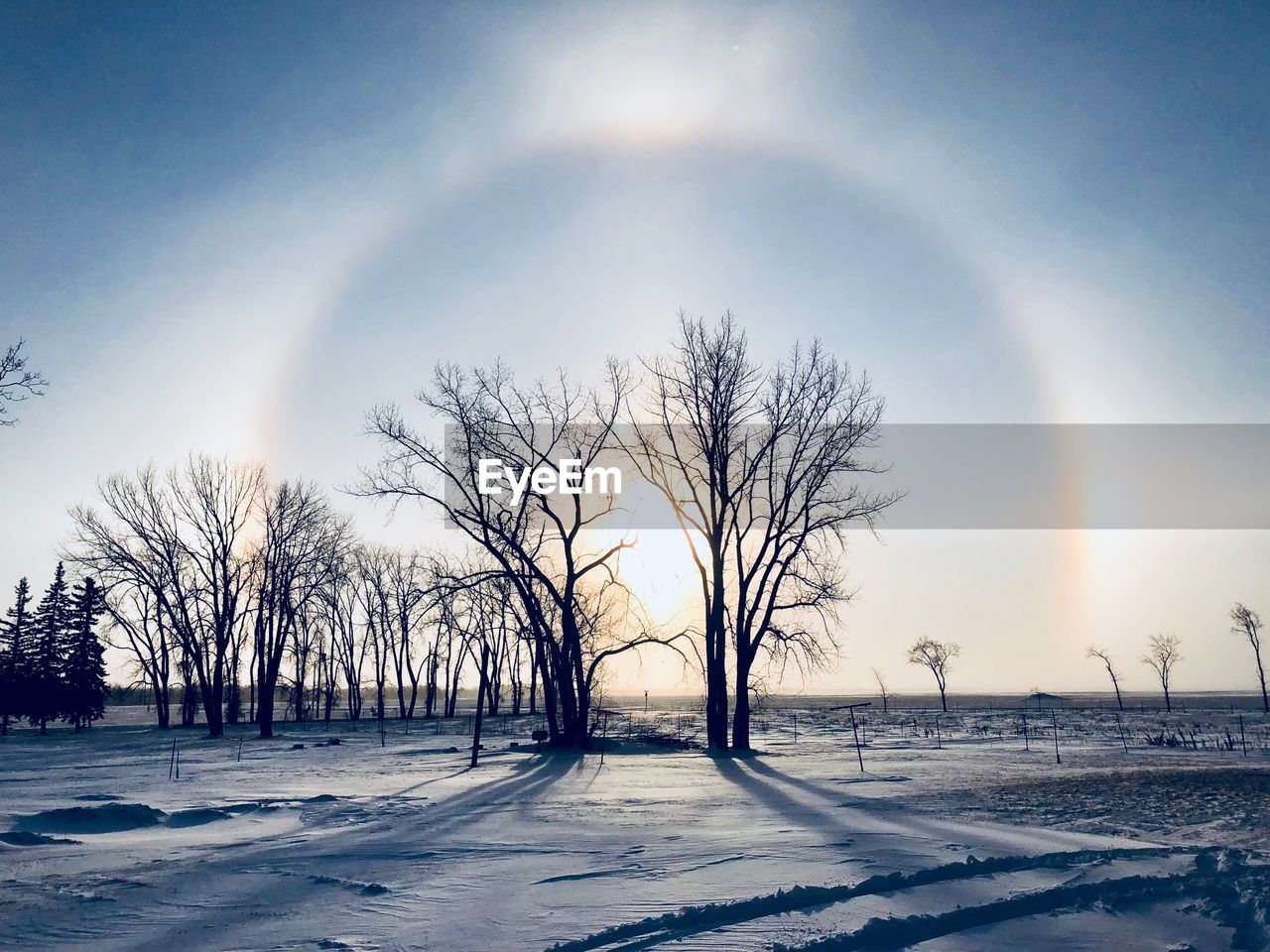 BARE TREE ON SNOW COVERED LANDSCAPE AGAINST RAINBOW