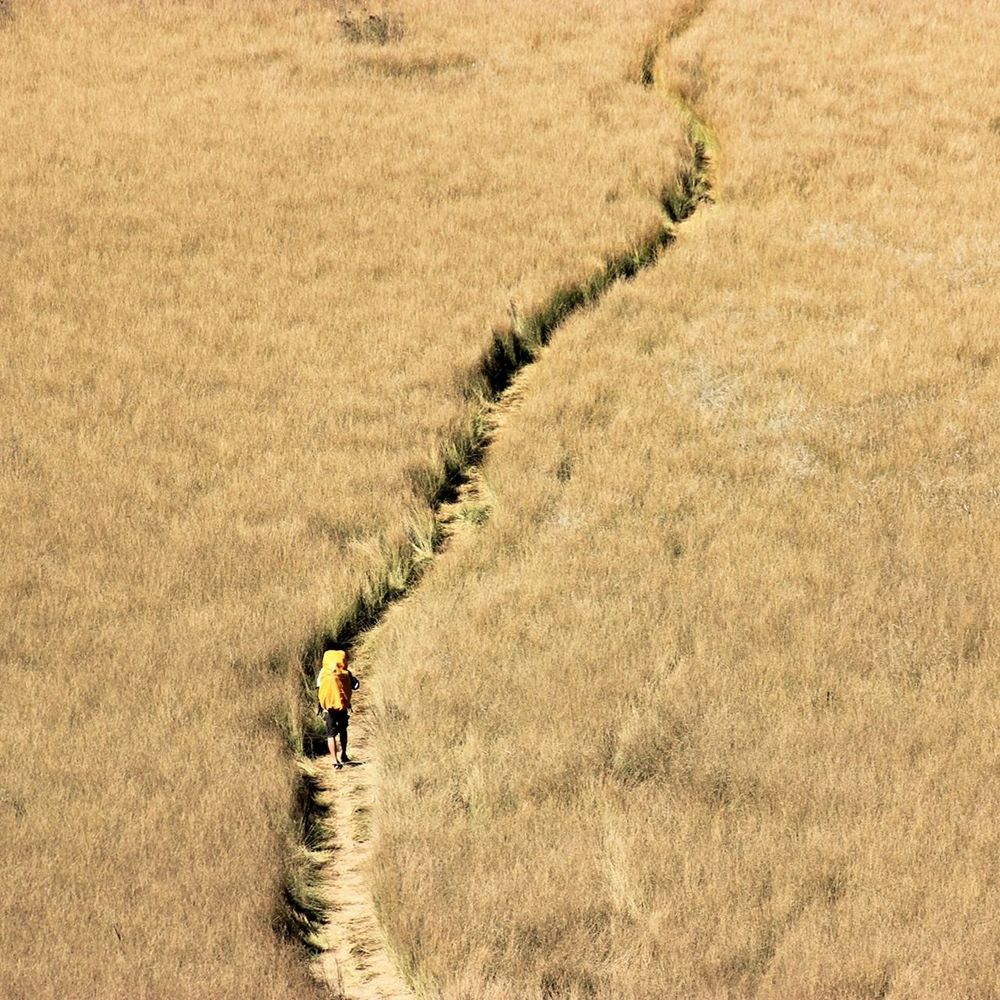 Endless pathway on the dry meadow