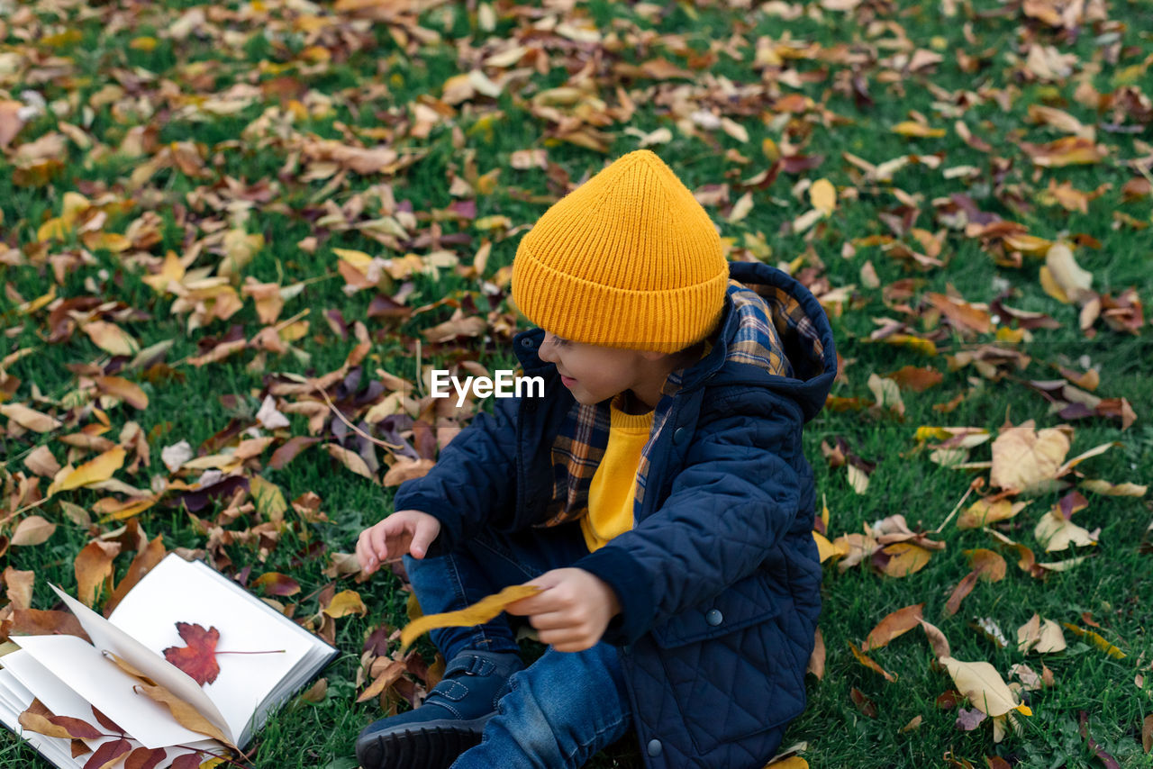 A little boy collects autumn leaves in a notebook.
