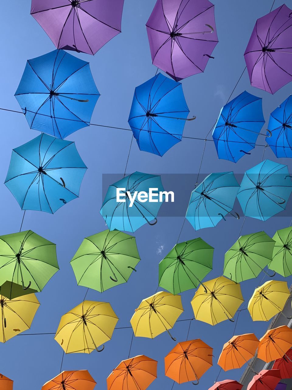 umbrella, pattern, circle, backgrounds, large group of objects, no people, blue, multi colored, sky, flower, shape, protection, full frame, petal, nature, repetition, geometric shape