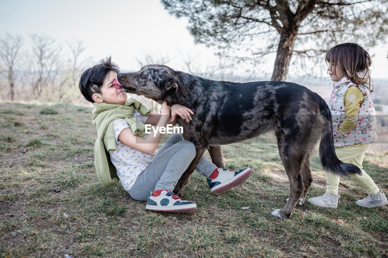 Dog licking the child sitting on the land in the park with another child standing next to them