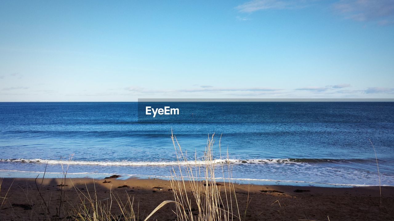 SCENIC VIEW OF BEACH AGAINST CLEAR SKY