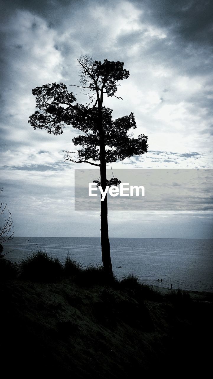 Silhouette tree on sea shore against sky at dusk