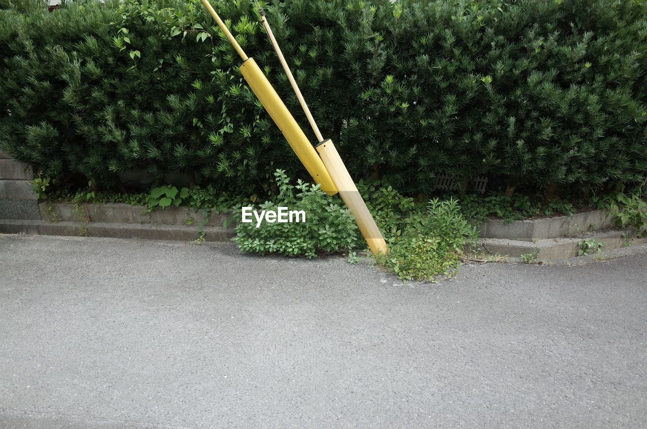 Yellow sticks on road against trees