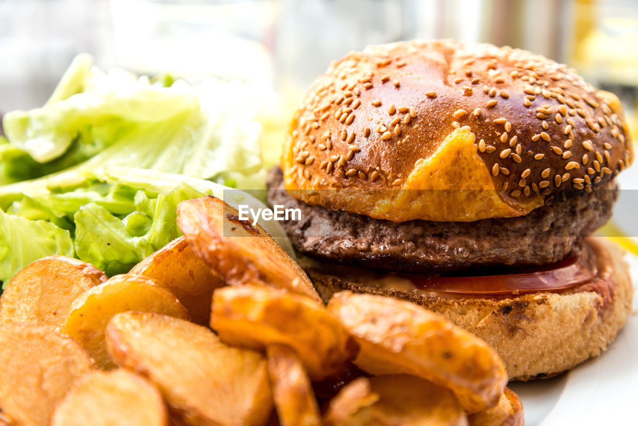 Close-up of burger and fried potatoes on plate