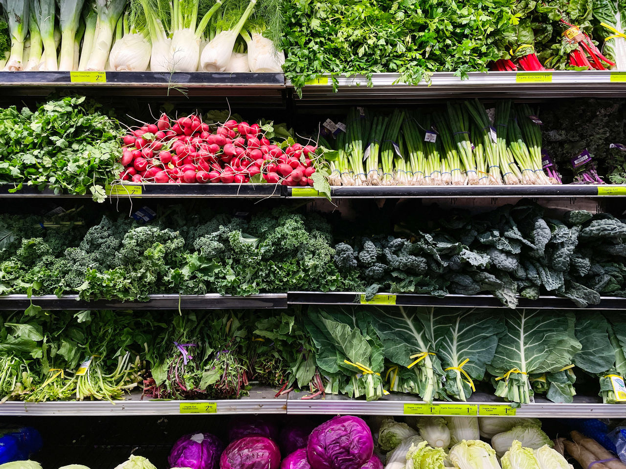 Vegetables for sale in the grocery store