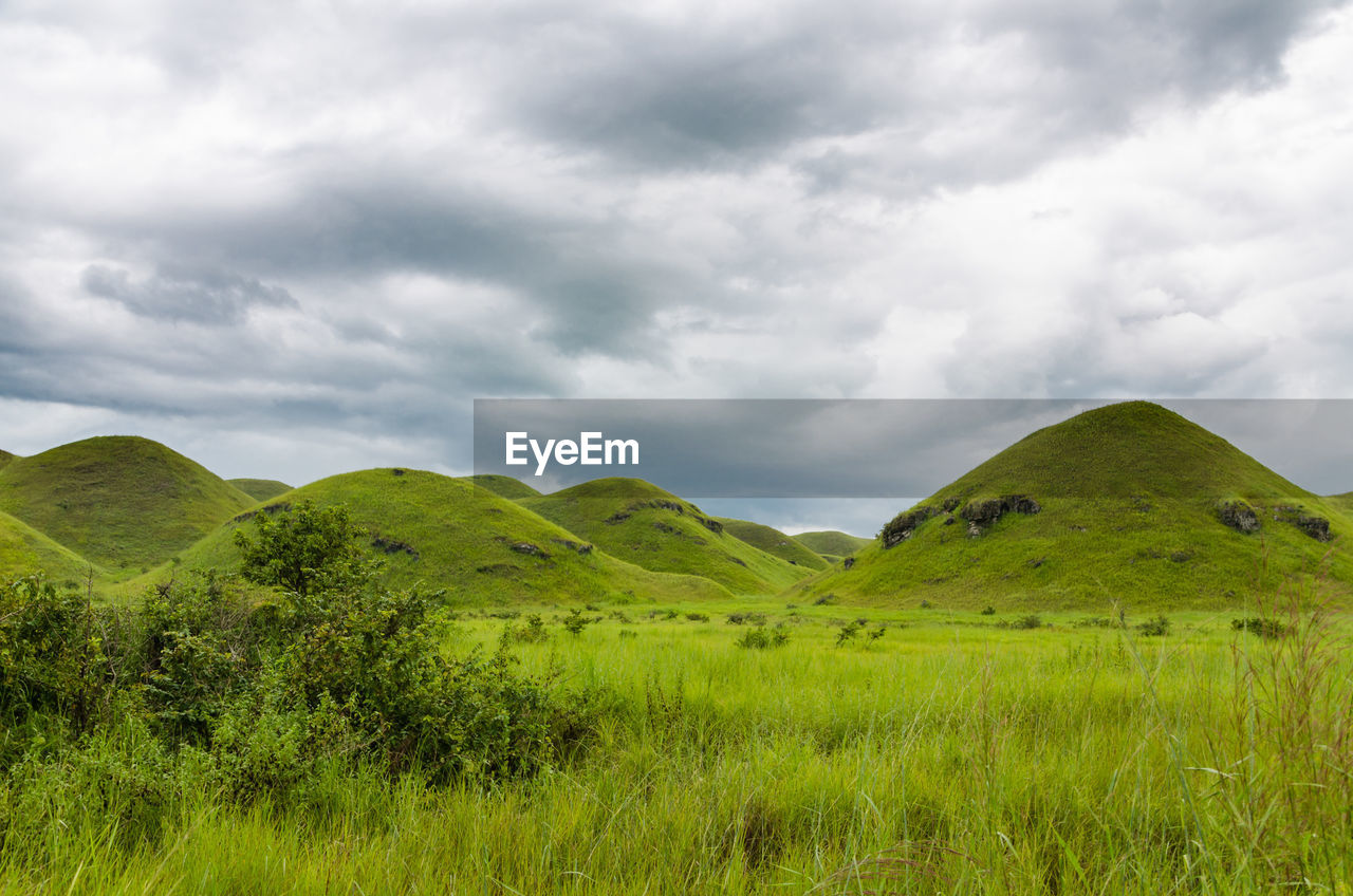 Scenic view of green field against sky