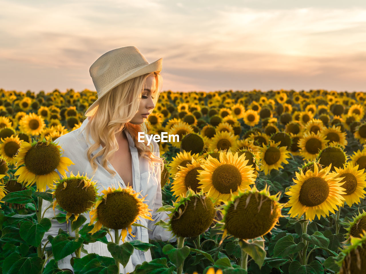 Woman on sunflower field