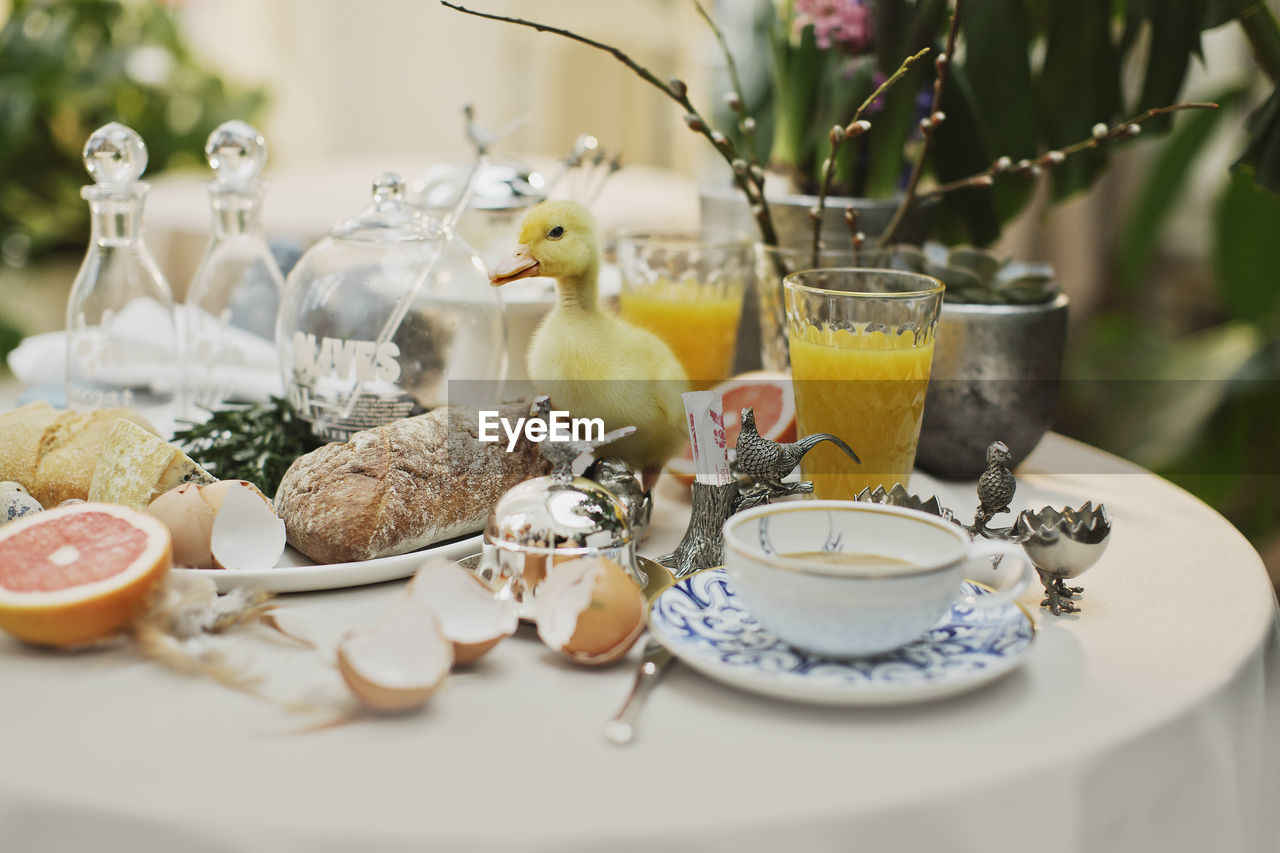 Breakfast arranged on table